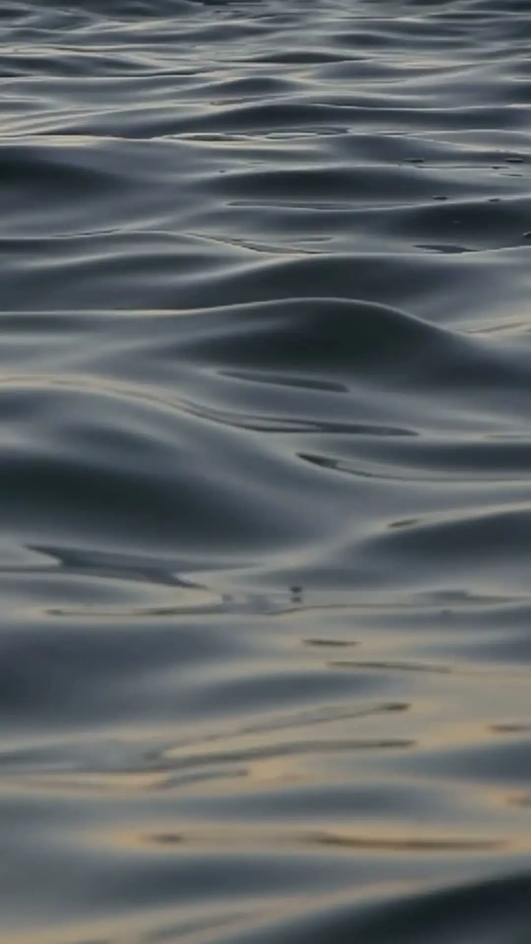 Slow ocean waves beneath a quiet sky